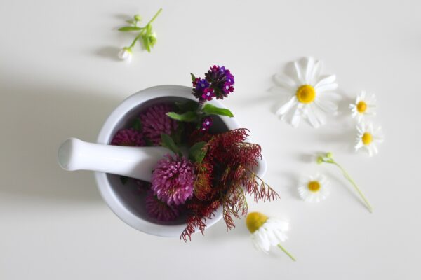 Hoe kun je geneeskrachtige planten verwerken? Over theeën, zalven, tincturen en nog veel meer. foto